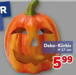 CENTERSHOP Deko-Kürbis Angebot