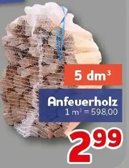 CENTERSHOP Anfeuerholz Angebot