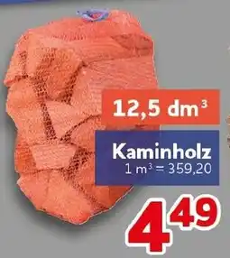 CENTERSHOP Kaminholz Angebot