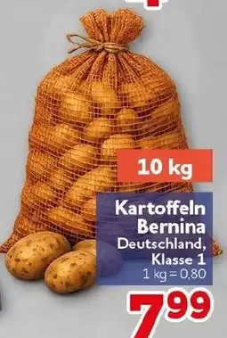 CENTERSHOP Kartoffeln Bernina Angebot