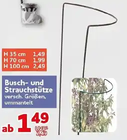 CENTERSHOP Busch- und Strauchstütze Angebot