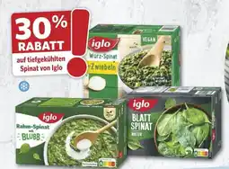 Famila Nord West iglo Würz-Spinat Zwiebeln Angebot