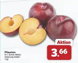 Famila Nord West Pflaumen Angebot