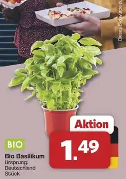 Famila Nord West Bio Basilikum Angebot