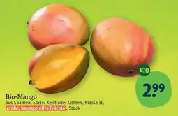 tegut Bio-Mango Angebot
