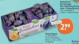 tegut Frische Zwetschen Angebot