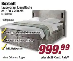 Poco Boxbett taupe-grau Angebot