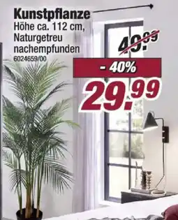 Poco Kunstpflanze Angebot
