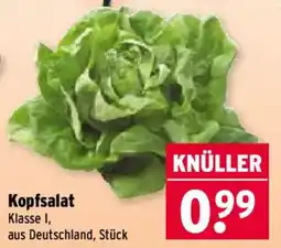 Wasgau Kopfsalat Angebot