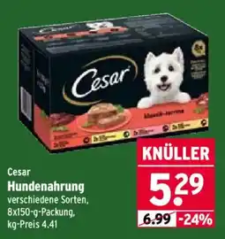 Wasgau Cesar Hundenahrung Angebot