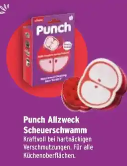 Wasgau Punch Allzweck Scheuerschwamm Angebot