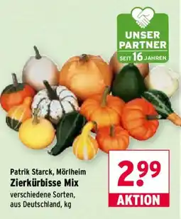 Wasgau Patrik Starck, Mörlheim Zierkürbisse Mix Angebot