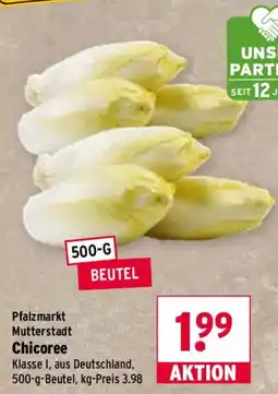 Wasgau Chicoree Angebot