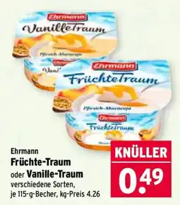 Wasgau Ehrmann Früchte-Traum oder Vanille-Traum Angebot