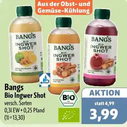 Aktiv Irma Bangs Bio Ingwer Shot Angebot