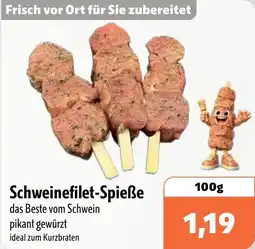 Aktiv Irma Schweinefilet-Spieße Angebot