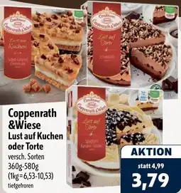 Aktiv Irma Coppenrath & Wiese Lust auf Kuchen oder Torte Angebot