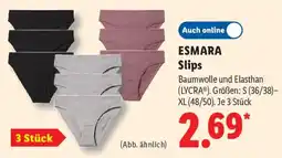 Lidl ESMARA Slips Angebot
