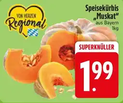 Edeka Speisekürbis "Muskat" Angebot