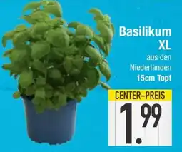 E-Center Basilikum XL Angebot