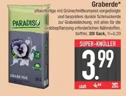 E-Center PARADISO Graberde Angebot