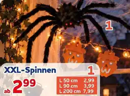 CENTERSHOP XXL-Spinnen Angebot