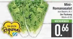 E-Center Mini Romanasalat Angebot