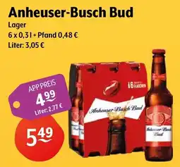 Getränke Hoffmann Anheuser-Busch Bud Lager Angebot