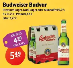Getränke Hoffmann Budweiser Budvar Premium Lager Angebot