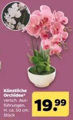 Netto Künstliche Orchidee* Angebot