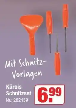 Rofu Kinderland Kürbis Schnitzset Angebot