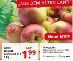 Multi Markt Äpfel: Wellant Angebot