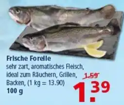 Multi Markt Frische Forelle Angebot