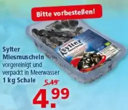 Multi Markt Sylter Miesmuscheln Angebot