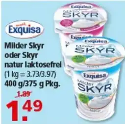 Multi Markt Exquisa Milder SKYR Angebot