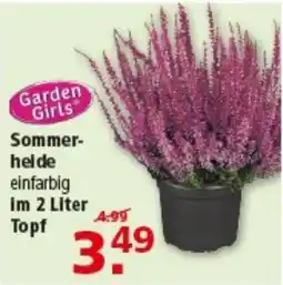 Multi Markt Garden Girls Sommer-helde Angebot