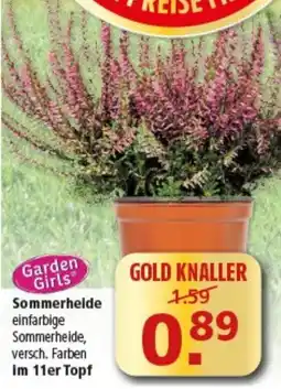 Multi Markt Garden Girls Sommerheide Angebot