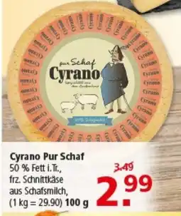 Multi Markt Cyrano Pur Schaf Angebot
