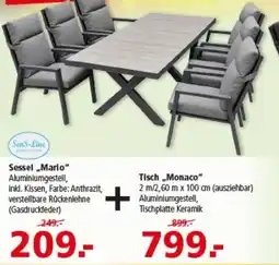 Multi Markt Sessel „Mario“ Angebot