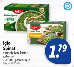 Nah & Frisch iglo Spinat Angebot