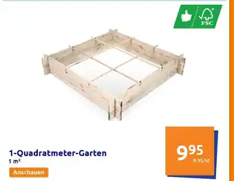 Action 1-Quadratmeter-Garten Angebot