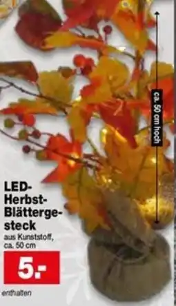 Krümet Sonderposten LED Herbst Blättergesteck Angebot