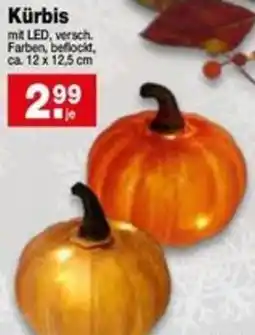 Krümet Sonderposten Kürbis Angebot