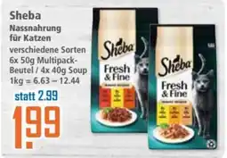 Klaas und Kock Sheba Nassnahrung für Katzen Angebot