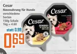 Klaas und Kock Cesar Nassnahrung für Hunde Angebot