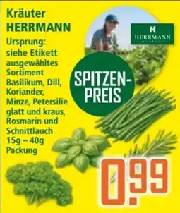 Klaas und Kock Kräuter HERRMANN Angebot