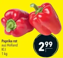 CITTI Markt Paprika rot Angebot