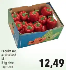 CITTI Markt Paprika rot Angebot