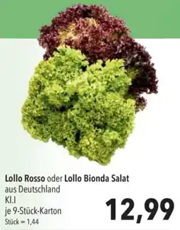 CITTI Markt Lollo Rosso oder Lollo Bionda Salat Angebot