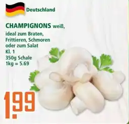 Klaas und Kock CHAMPIGNONS weiß Angebot